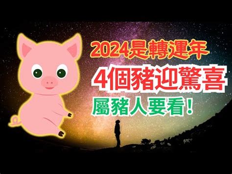 豬年運勢|【2024年生肖運勢】豬：感情運大放異彩，但注意小人環繞｜玩 